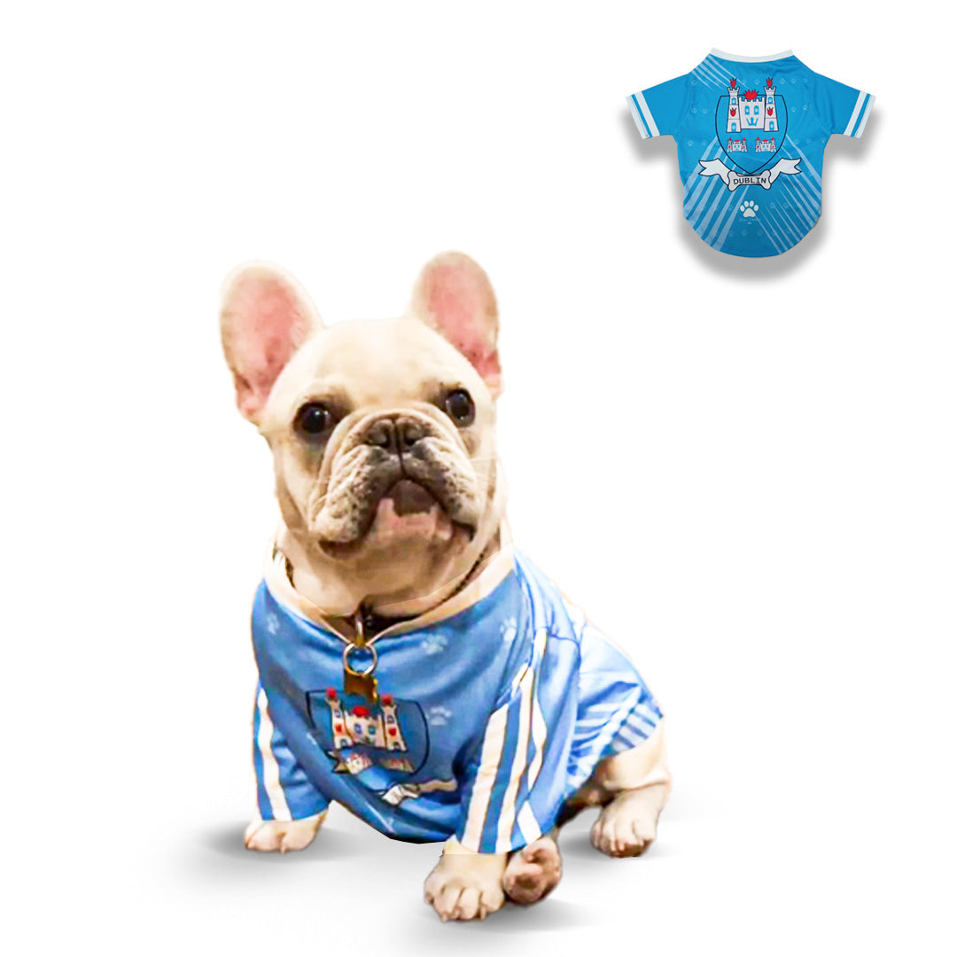 Dublin Pet Jersey