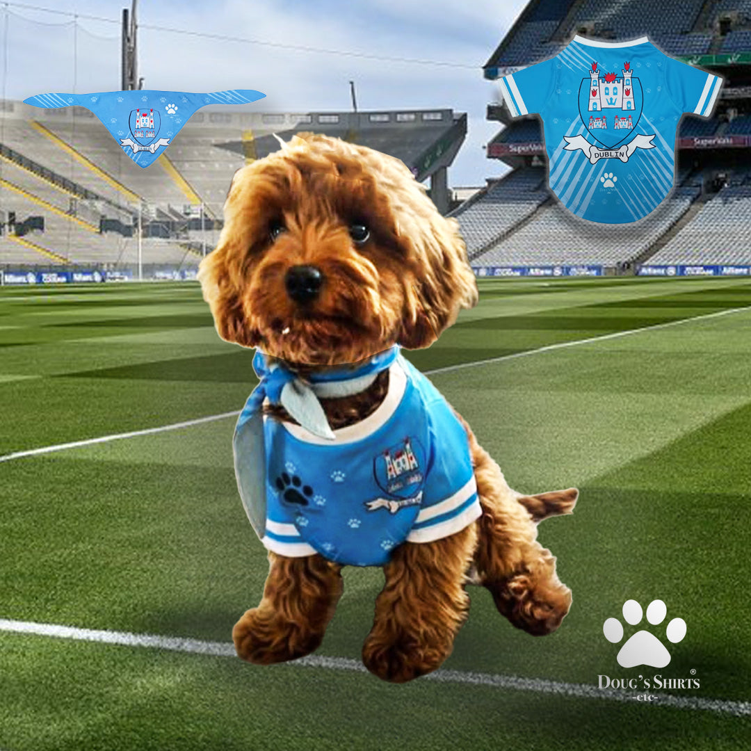 Dublin Pet Jersey