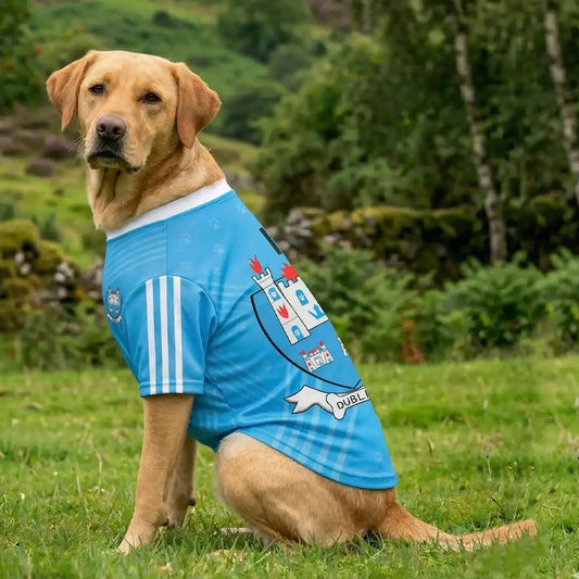 Dog Wearing Dublin GAA PET Jersey