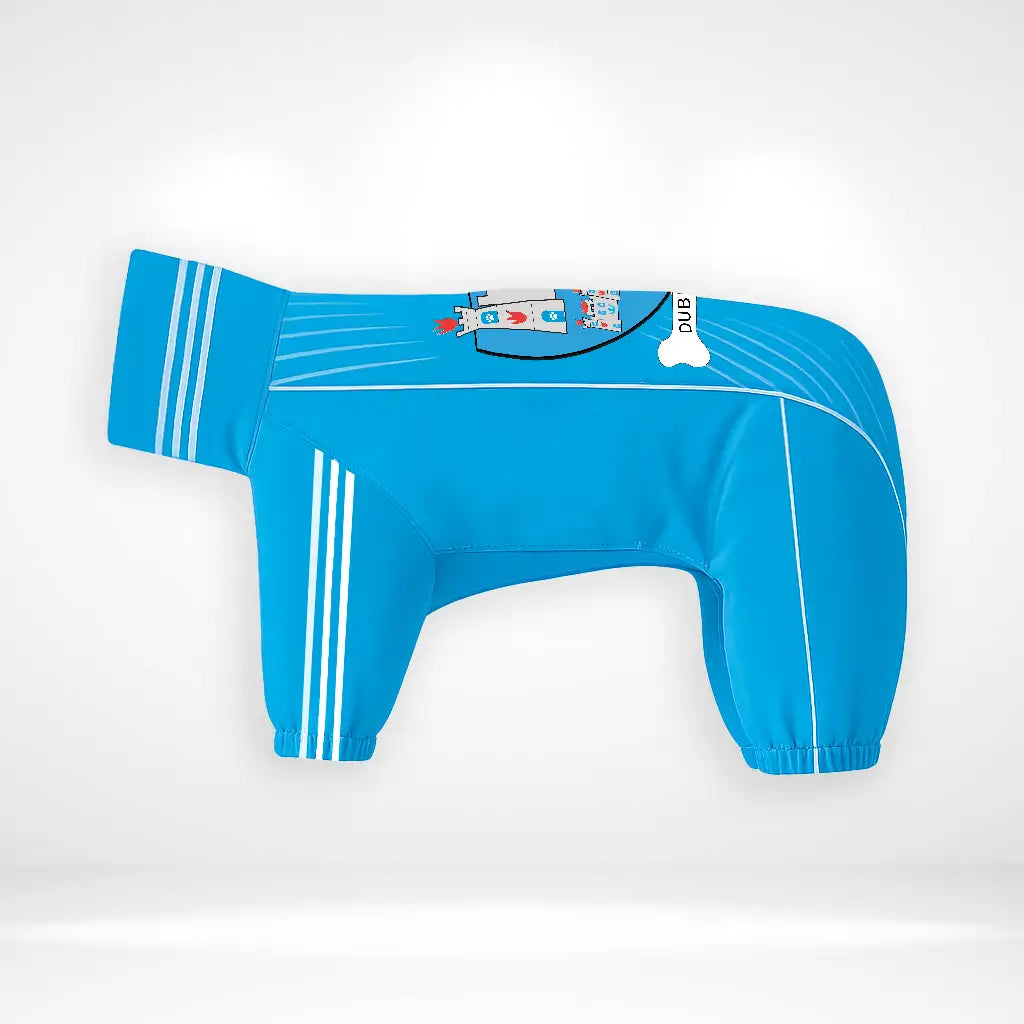 Dublin Dog Raincoat
