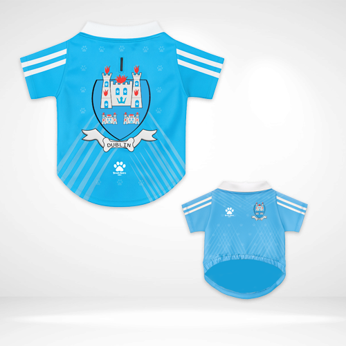 Dublin Pet Jersey
