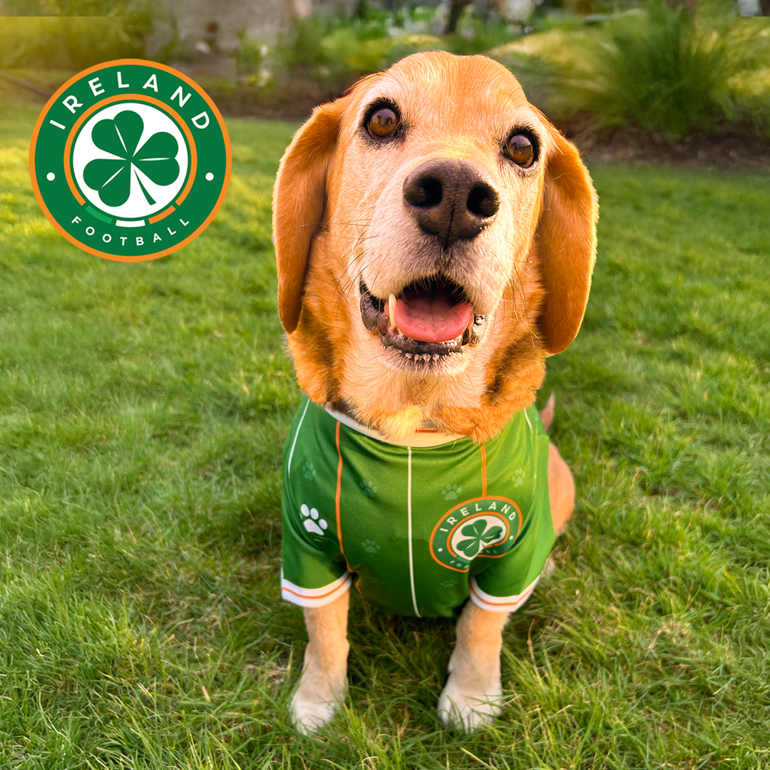 FAI Pet Jersey