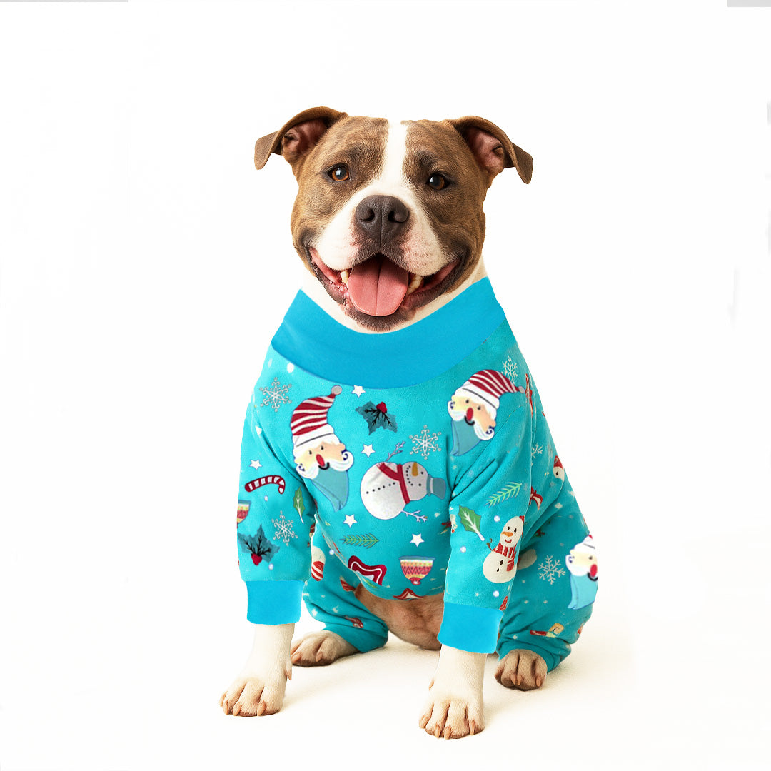 Festive Gnome Onesie and Jumper