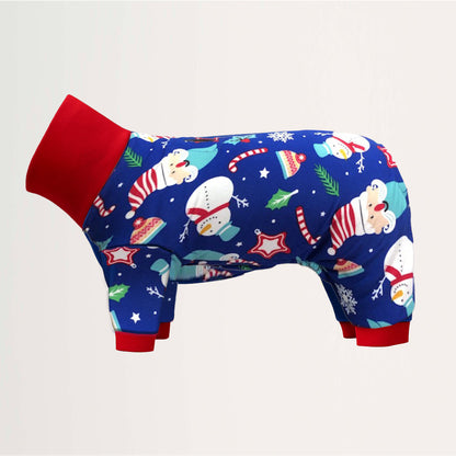 Festive Gnome Onesie and Jumper