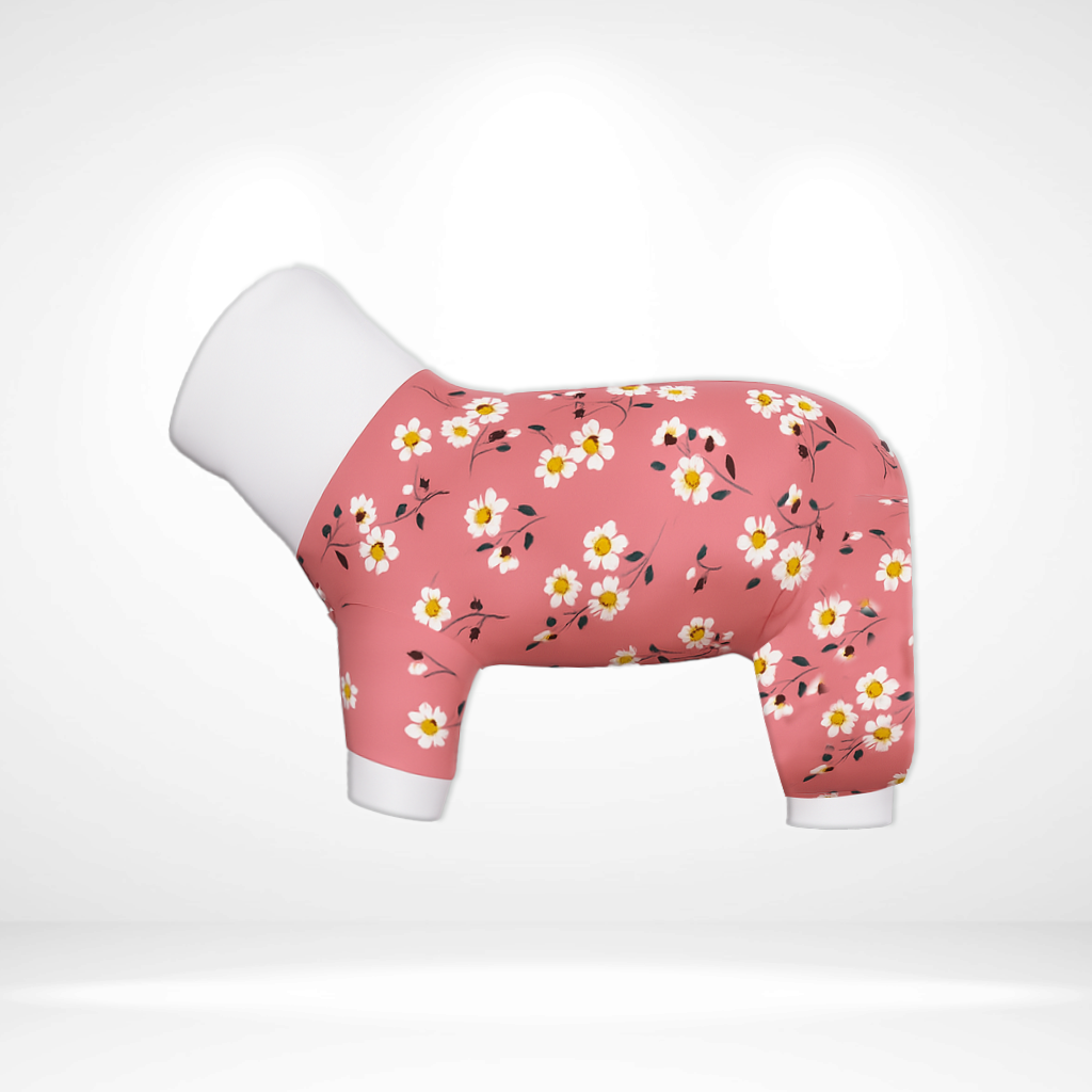 SALE!!!  Onesies, Jumpers and Vests