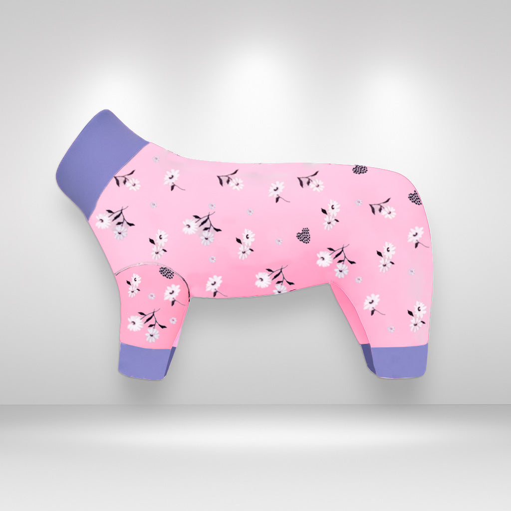 SALE!!!  Onesies, Jumpers and Vests