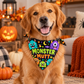 Howloween Dog Bandana