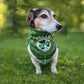 FAI Pet Bandana