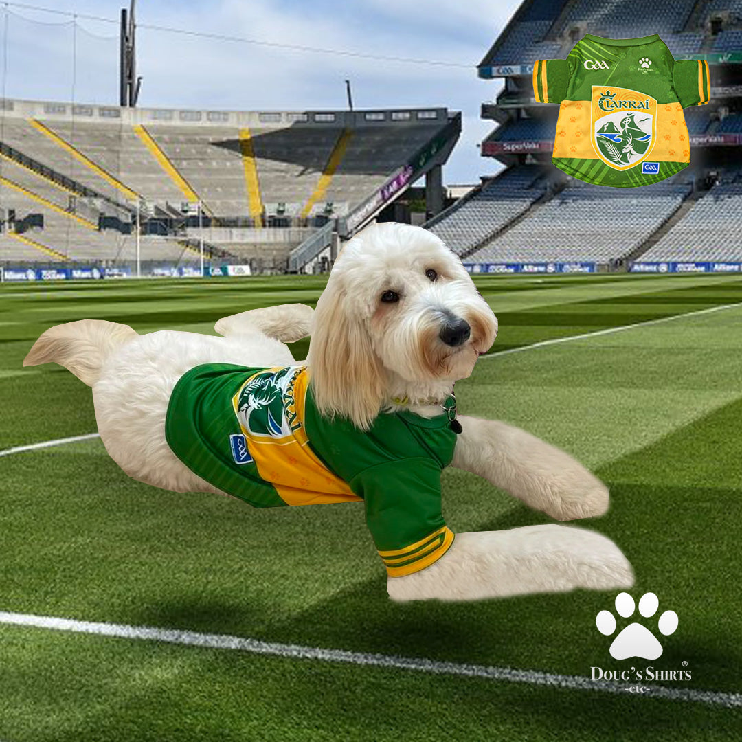 Packers dog outlet jersey