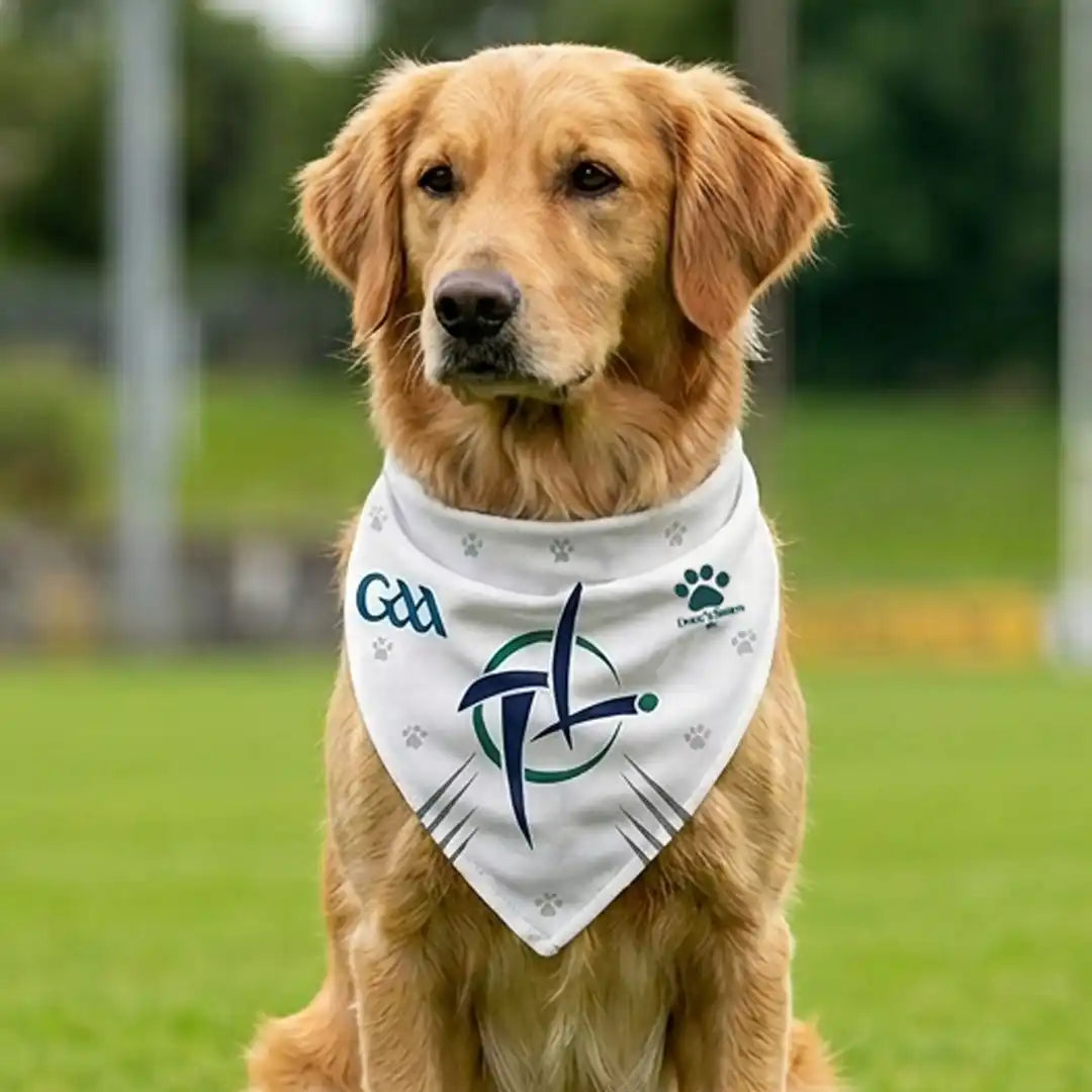 Dog wearing a Kildare bandana