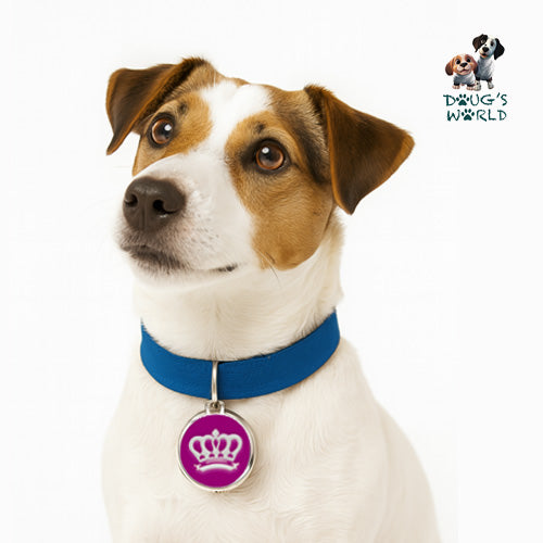 Royalty Crown Pet ID Charm
