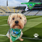 Dog Wearing Limerick GAA PET Bandana