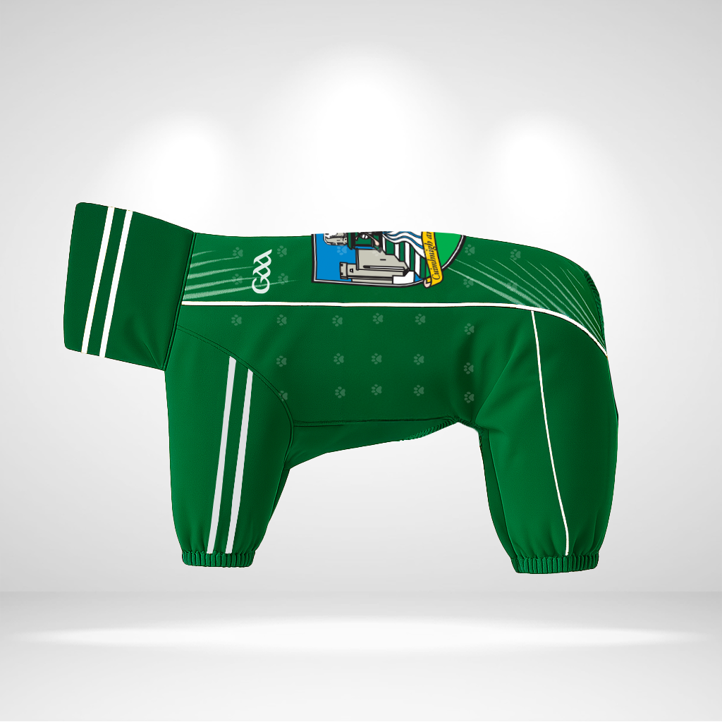 Limerick Dog Raincoat