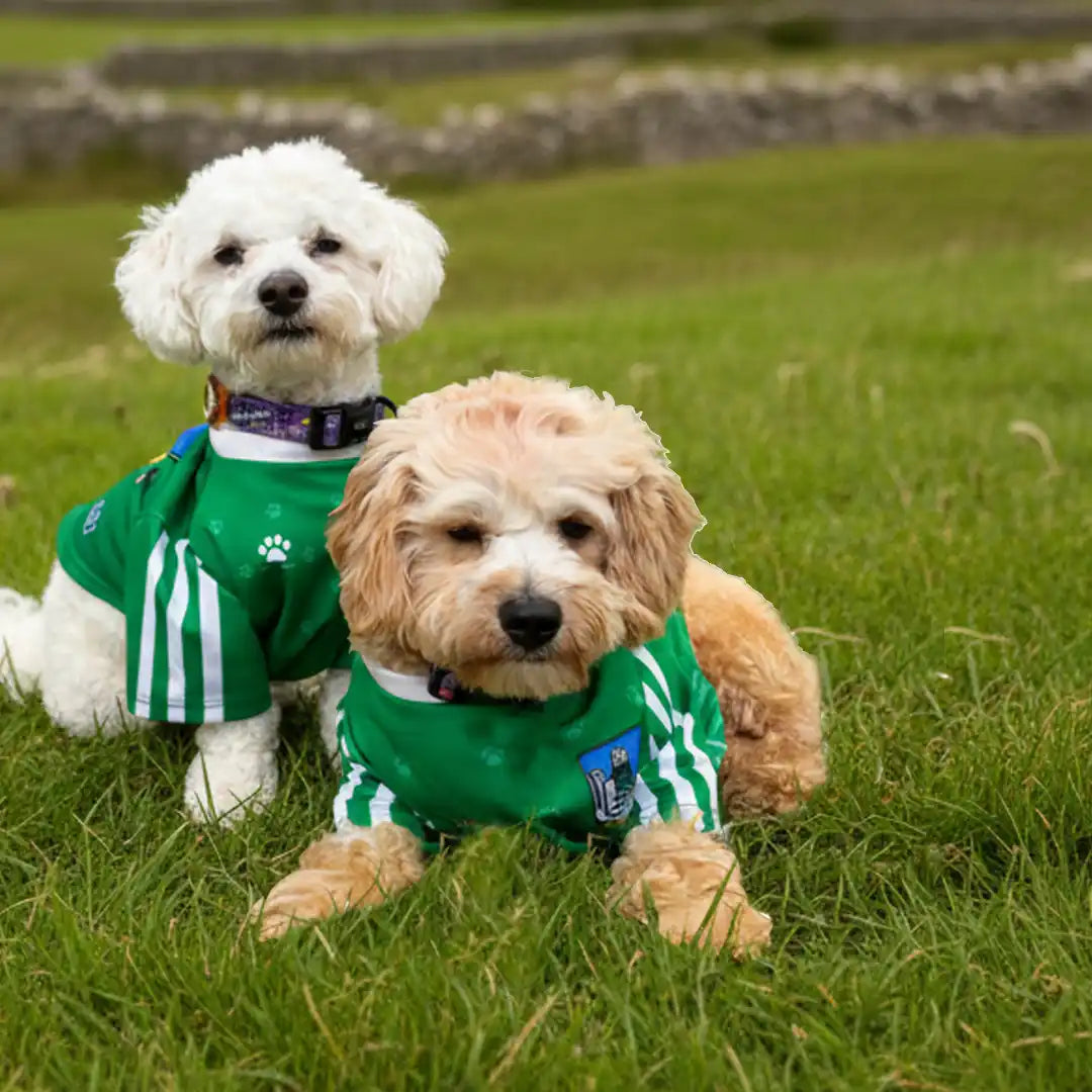 Limerick GAA Pet Jersey – Dougs World