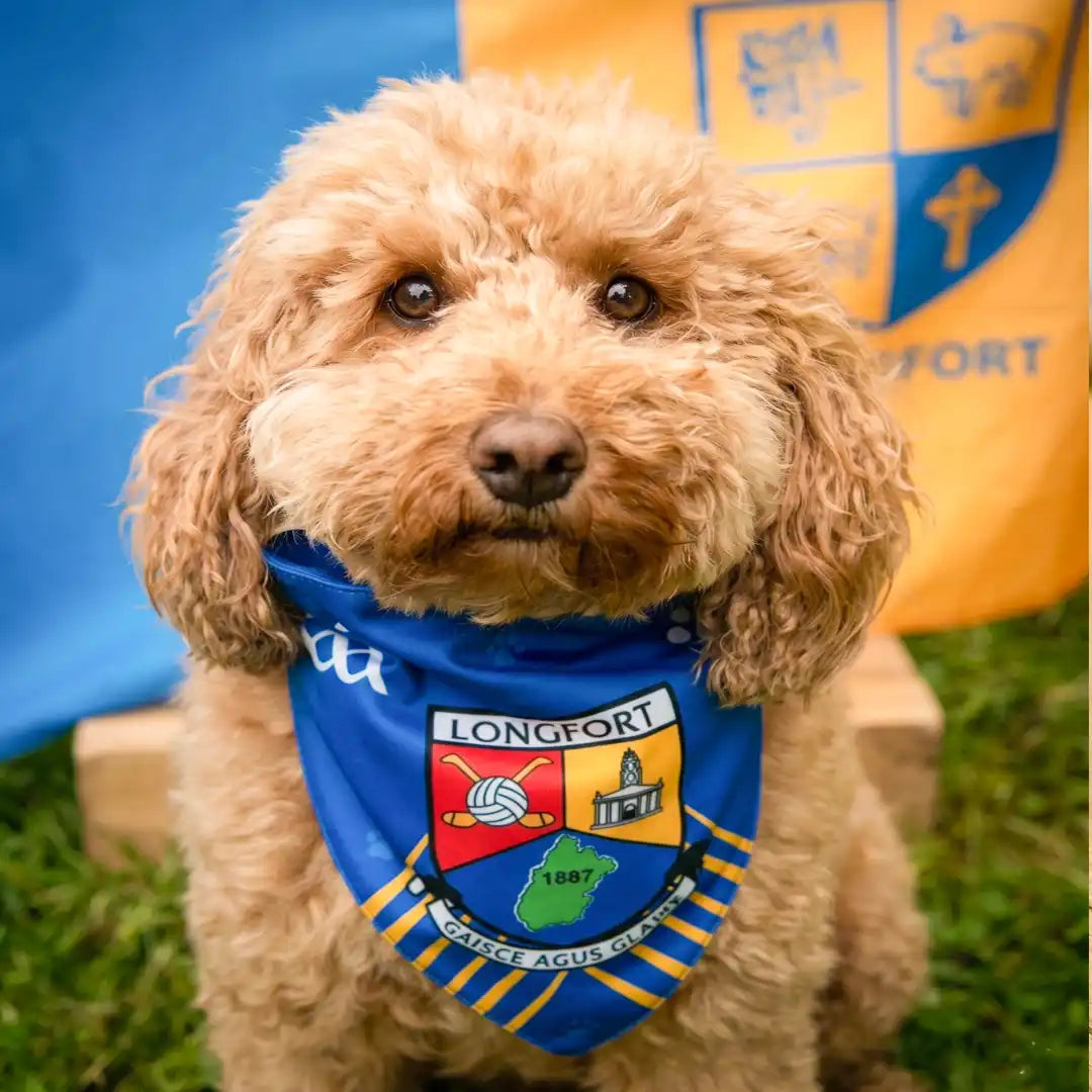 Dog Wearing Longford GAA PET Bandana
