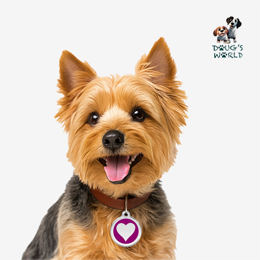 Heart Pet ID Charm