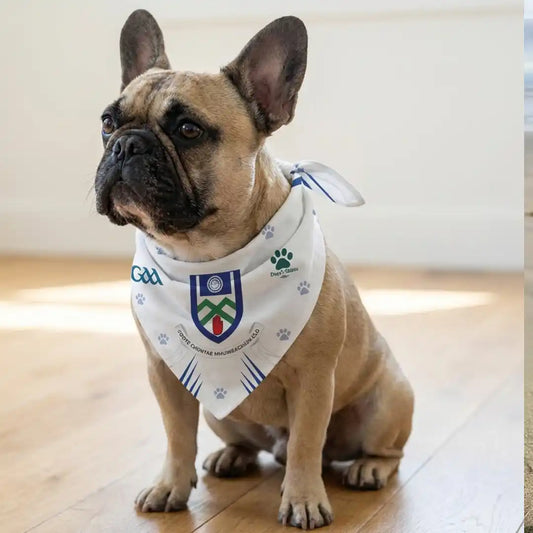 Dog wearing Monaghan Bandana
