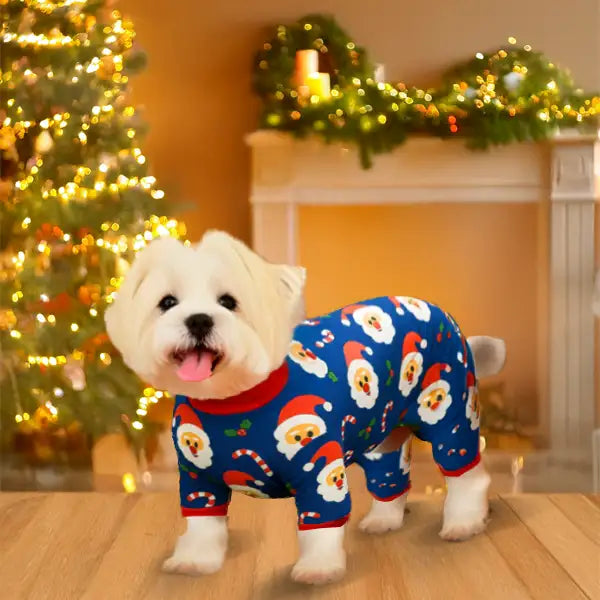 JollySanta Onesie and Jumper