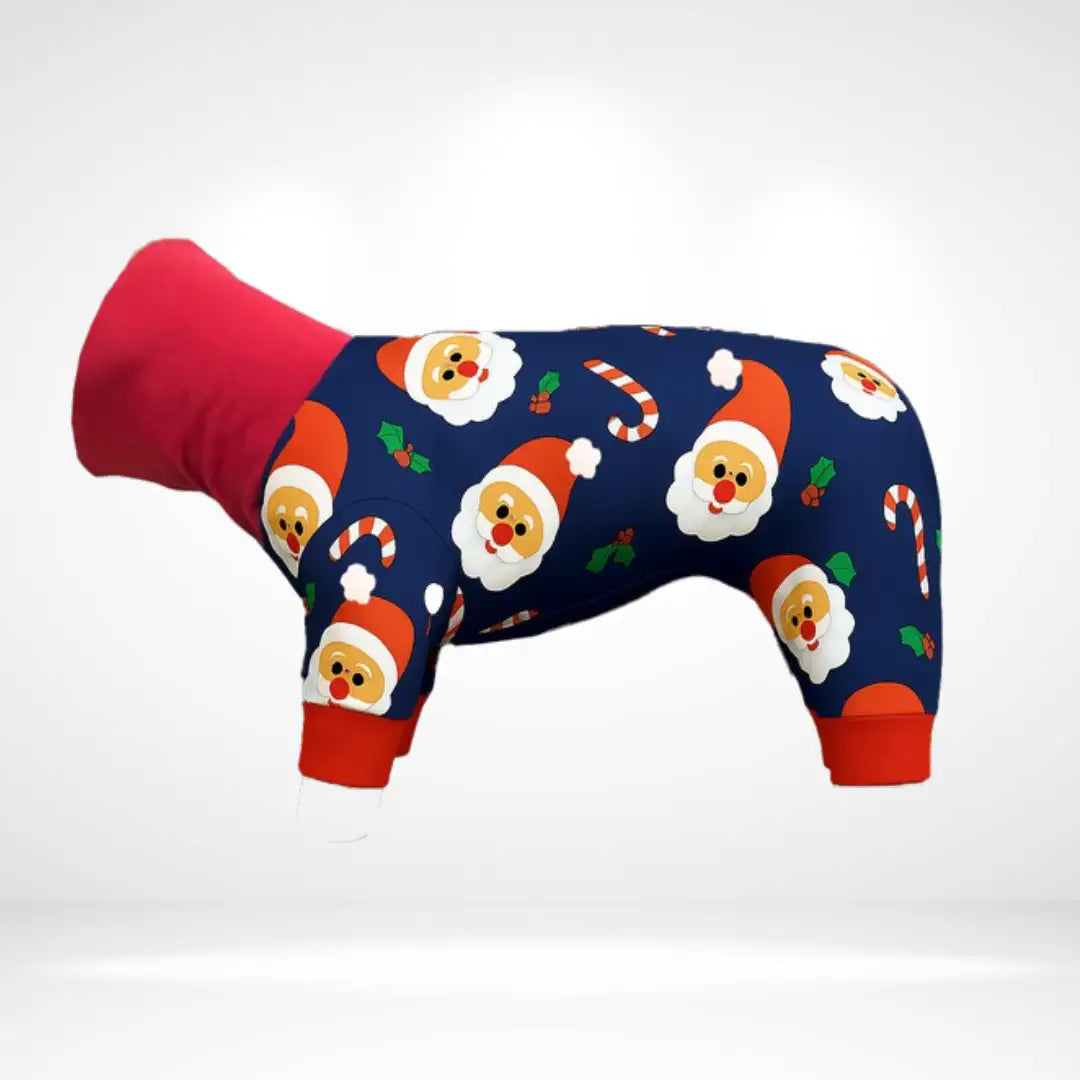 JollySanta Onesie and Jumper