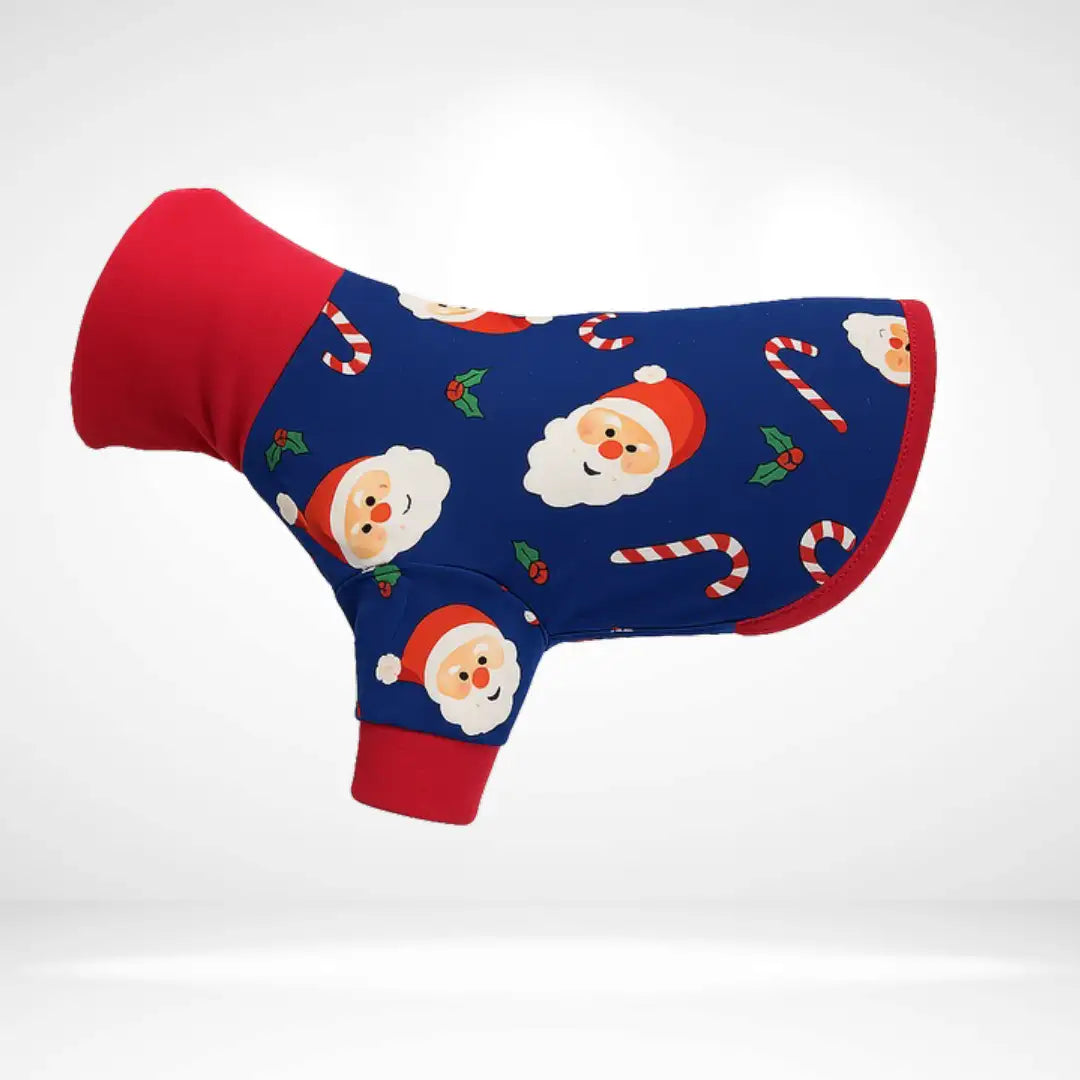 JollySanta Onesie and Jumper