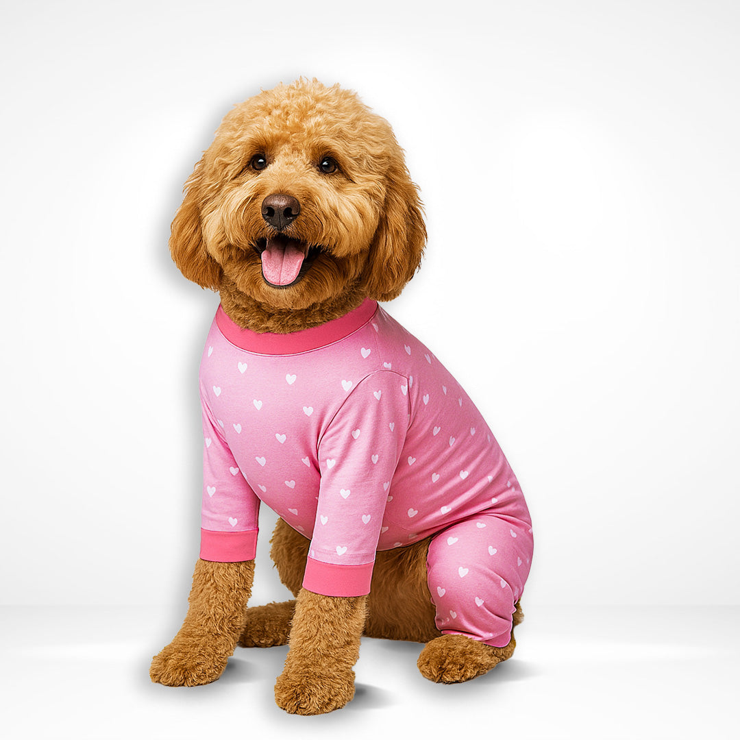 dog onesie
