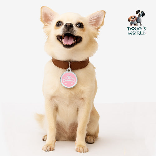 Princess Pet ID Charm