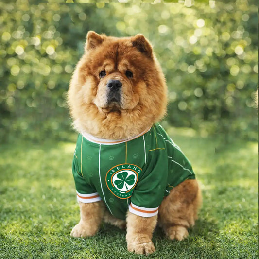 FAI Pet Jersey