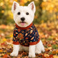 autumn dog jumper