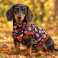 daschaund dog vest