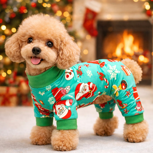 Santa And Friends Onesie and Jumper