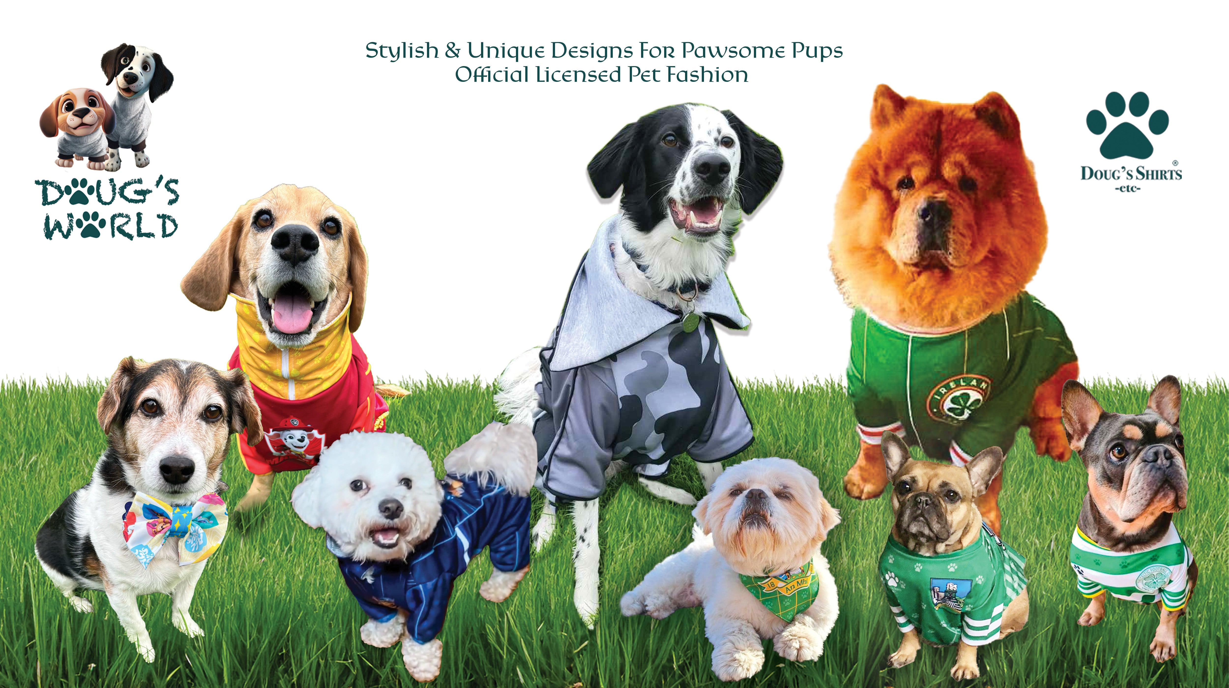 Pet clothes outlet shop