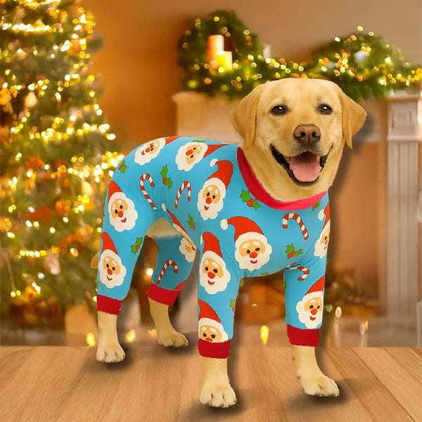 JollySanta Onesie and Jumper