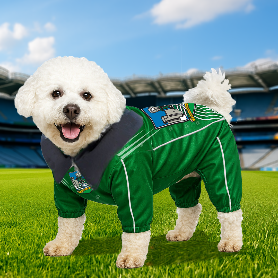 Limerick Dog Raincoat