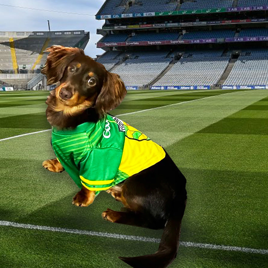 Donegal GAA Pet Jersey Dougs World