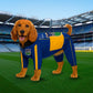 Tipperary Dog Raincoat