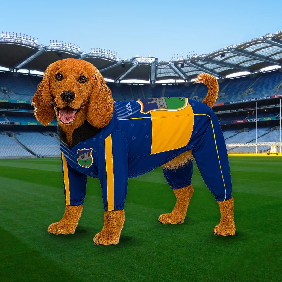 Tipperary Dog Raincoat
