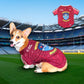 Dog Wearing Westmeath  dog Jersey