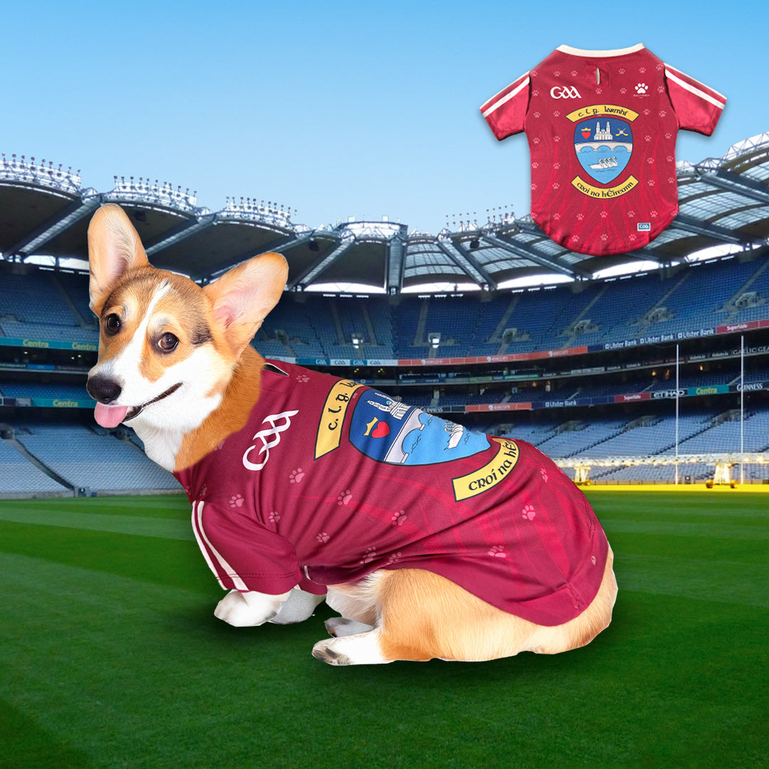 Dog Wearing Westmeath  dog Jersey