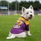 Dog wearing Wexford Jersey
