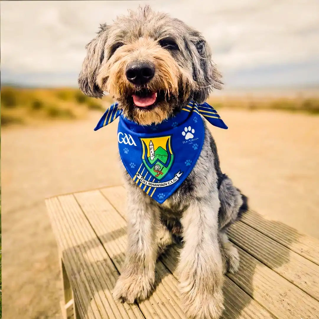 Dog Wearing Wicklow GAA DOG Bandana