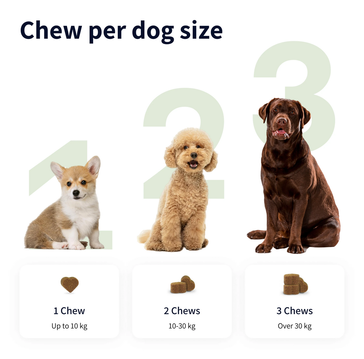 Allergy & Itch Natural Supplement for Dogs