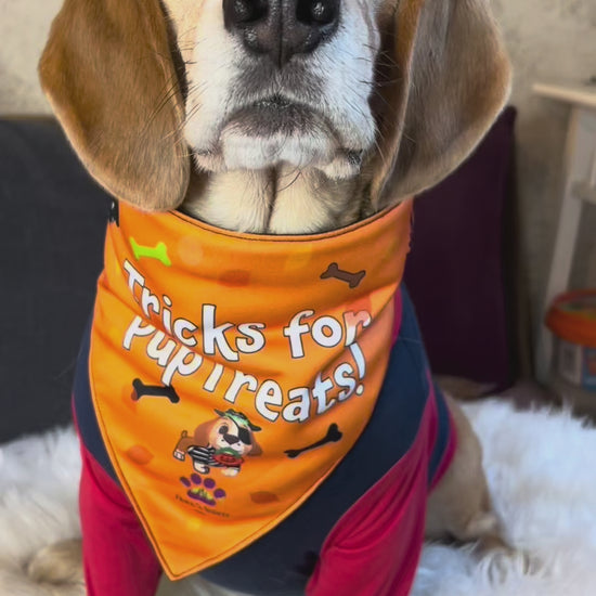 howlooween_bandanas