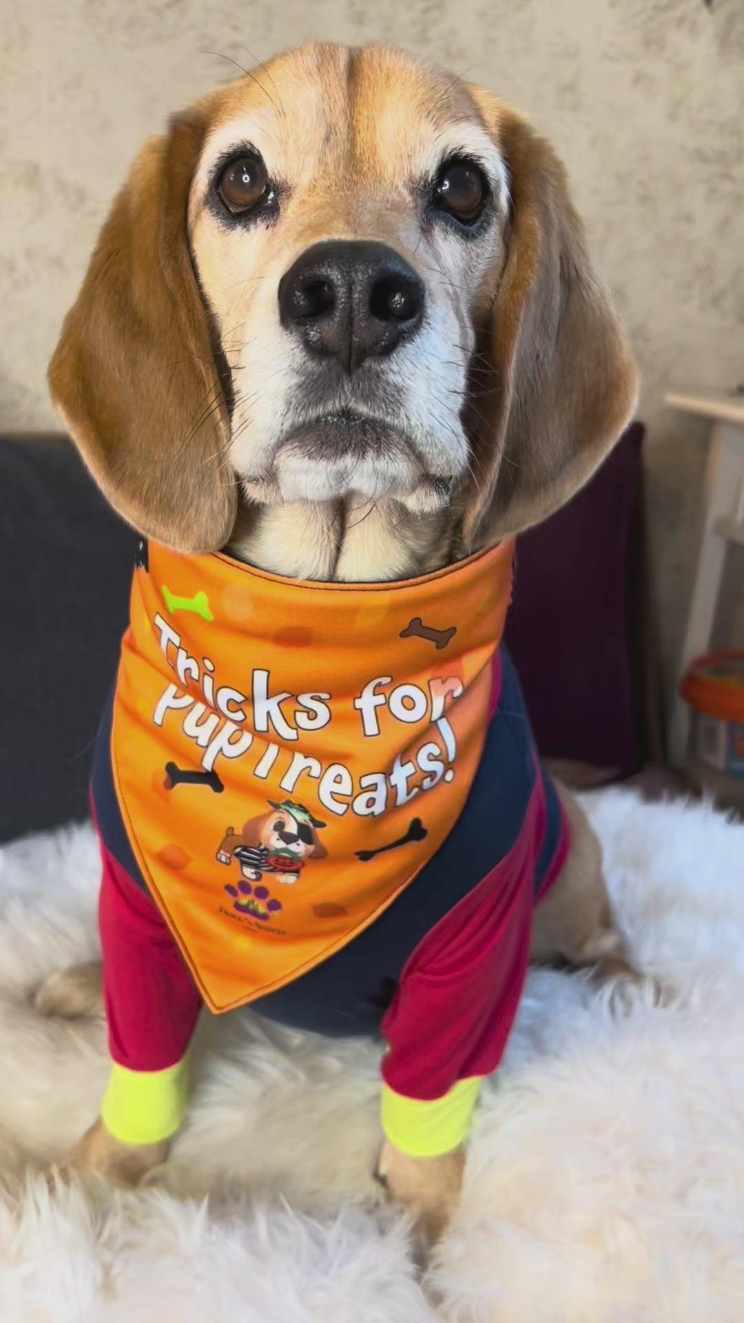 howlooween_bandanas
