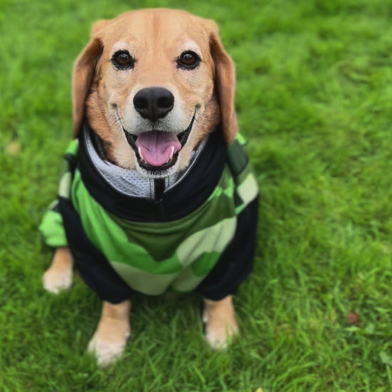 Camo Dog Raincoat