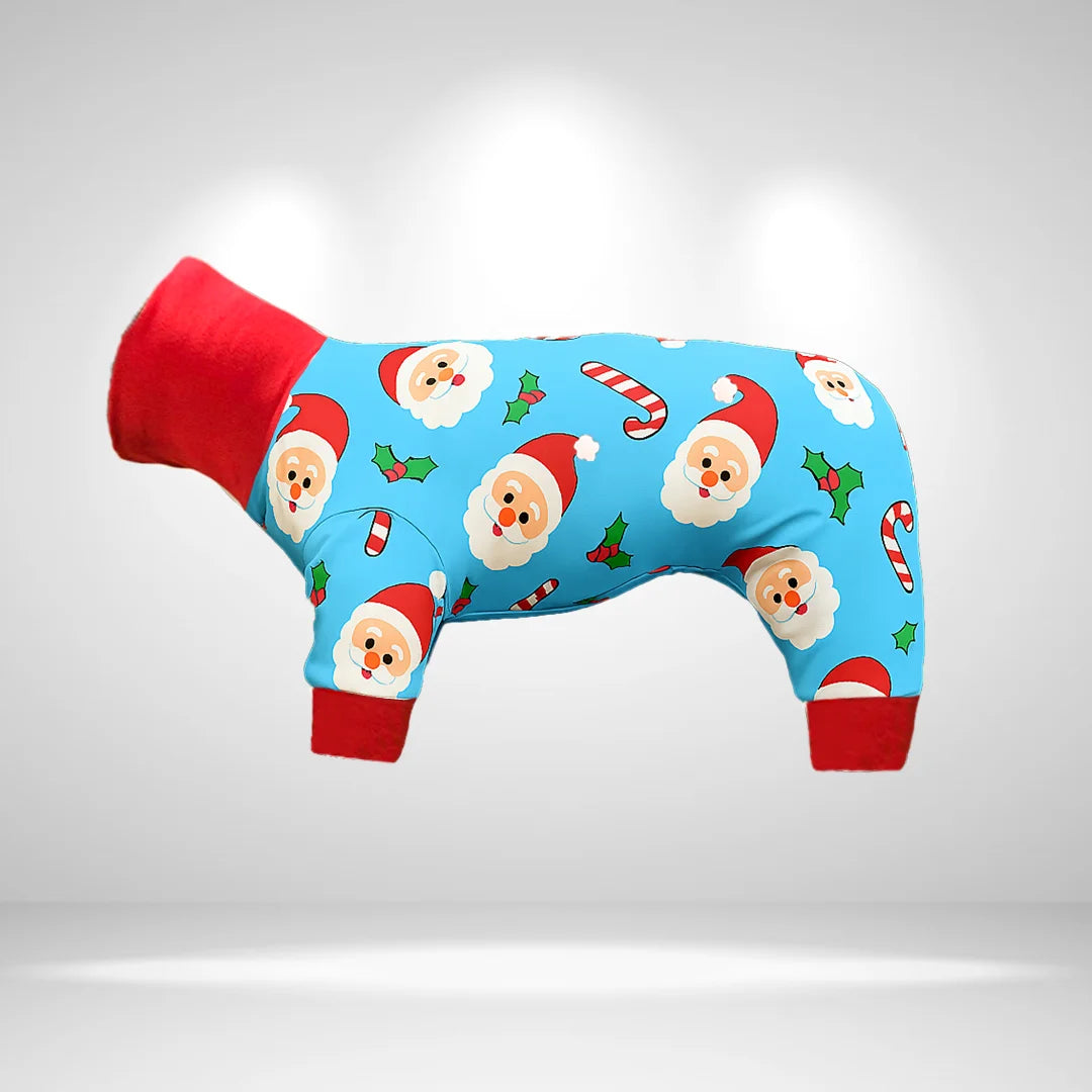 JollySanta Onesie and Jumper