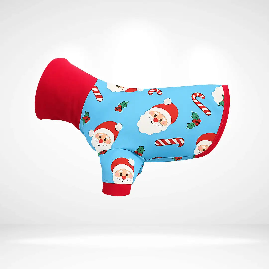 JollySanta Onesie and Jumper