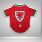 Wales FC PET Jersey