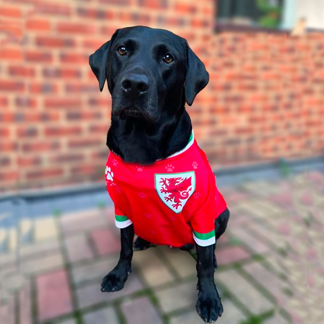 Official Wales Football Dog Jersey Official Pet Apparel Pet 