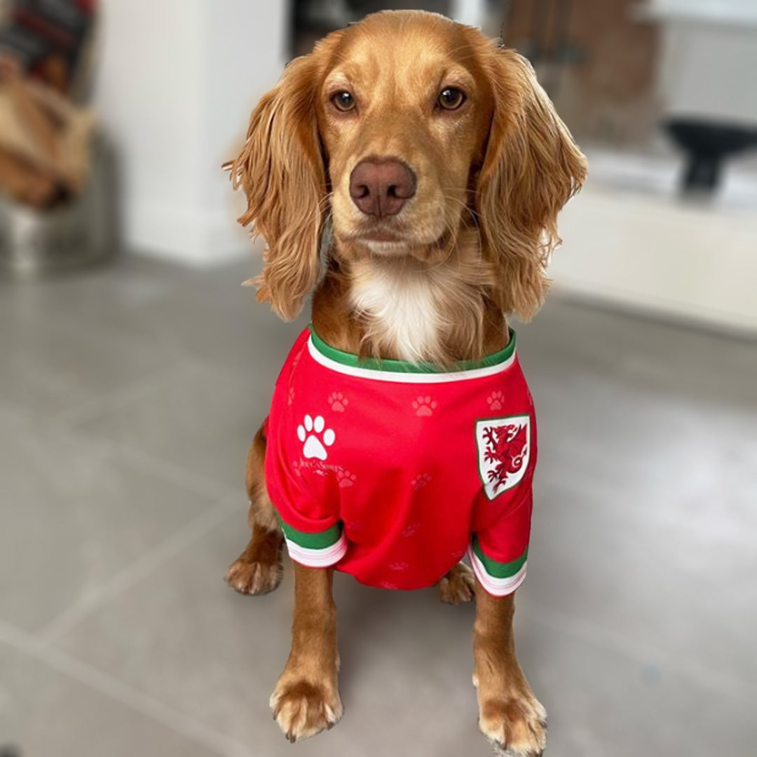 Liverpool fc deals dog clothes